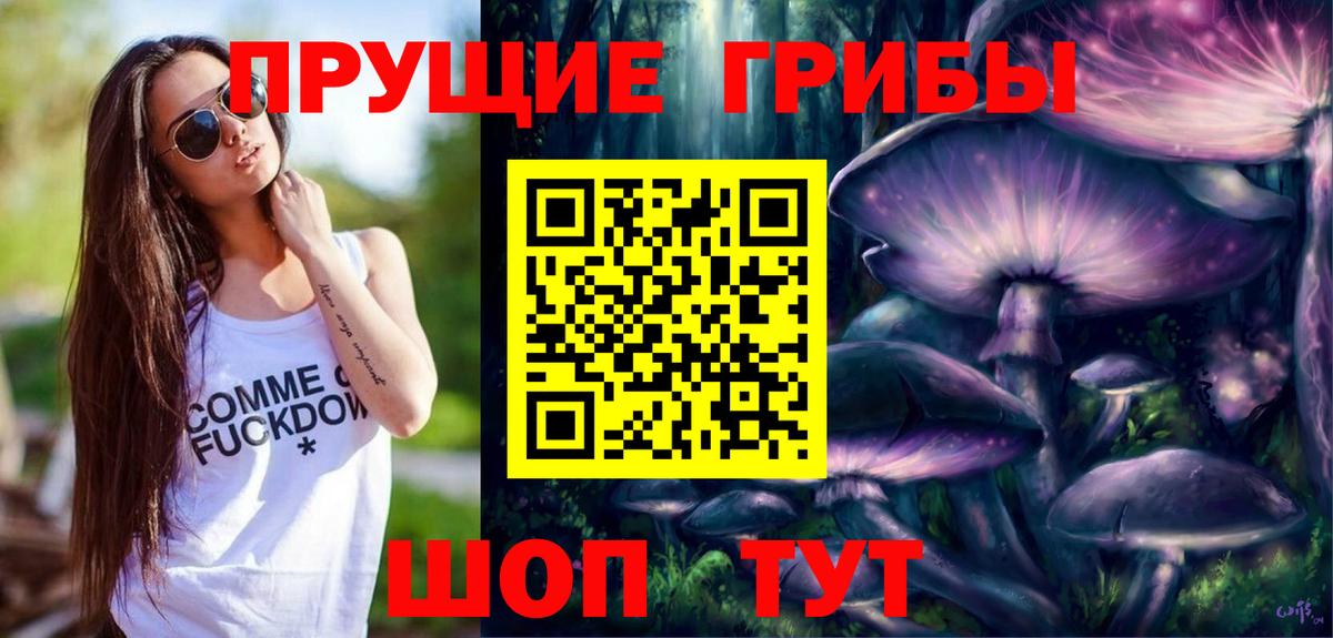 Псилоцибиновые грибы мицелий Кстово