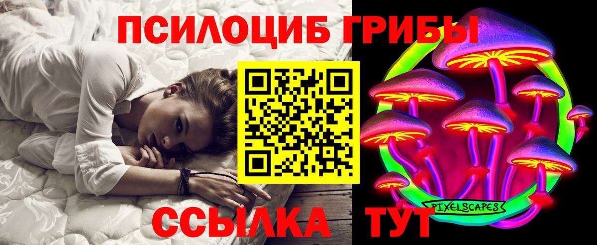 Псилоцибиновые грибы Cubensis  Галлюциногенные грибы Magic Shrooms  Кстово  Вход с VPN 